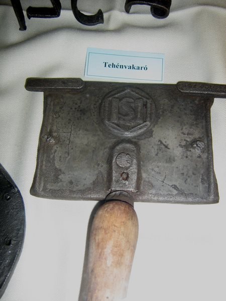 Iskolánk vendége a Sóstói Múzeumfalu