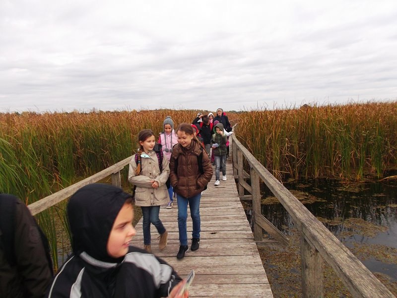 Kirándulás a Tisza-tóhoz