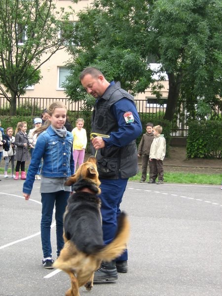 Rendőrök bemutatkozása